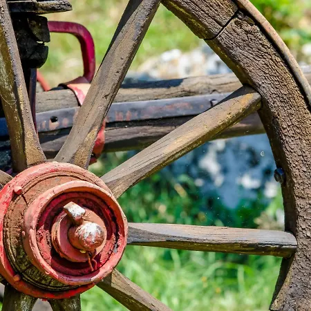 Case de vacanță Maja By Interhome