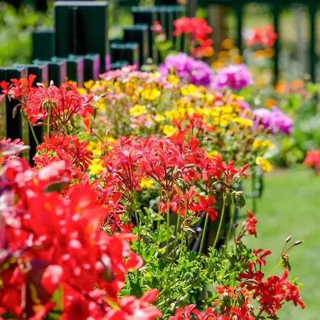 Case de vacanță Maja By Interhome